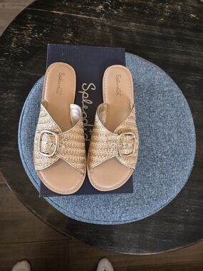 Splendid Sandy Light Gold Braided Slide Sandals with Decorative Buckle